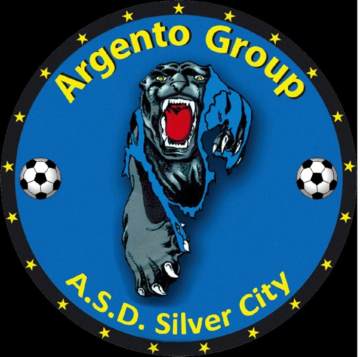 SILVER CITY  logo