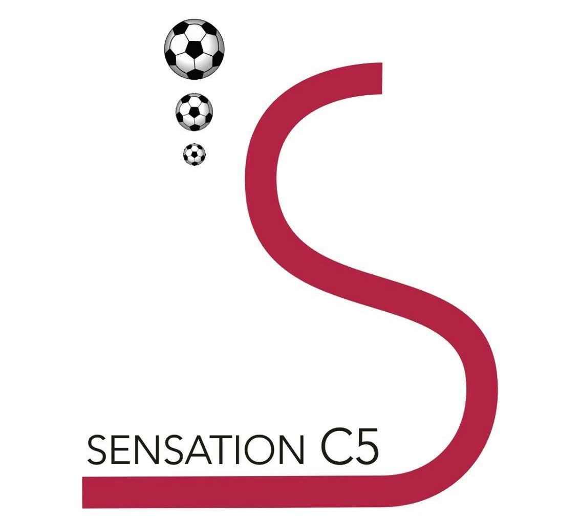 logo Sensation