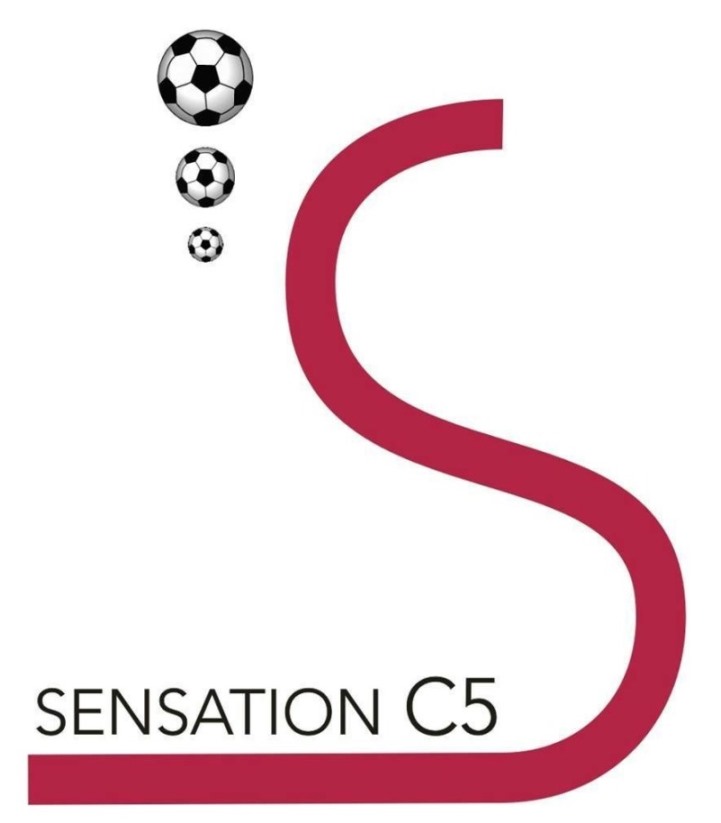 logo Sensation