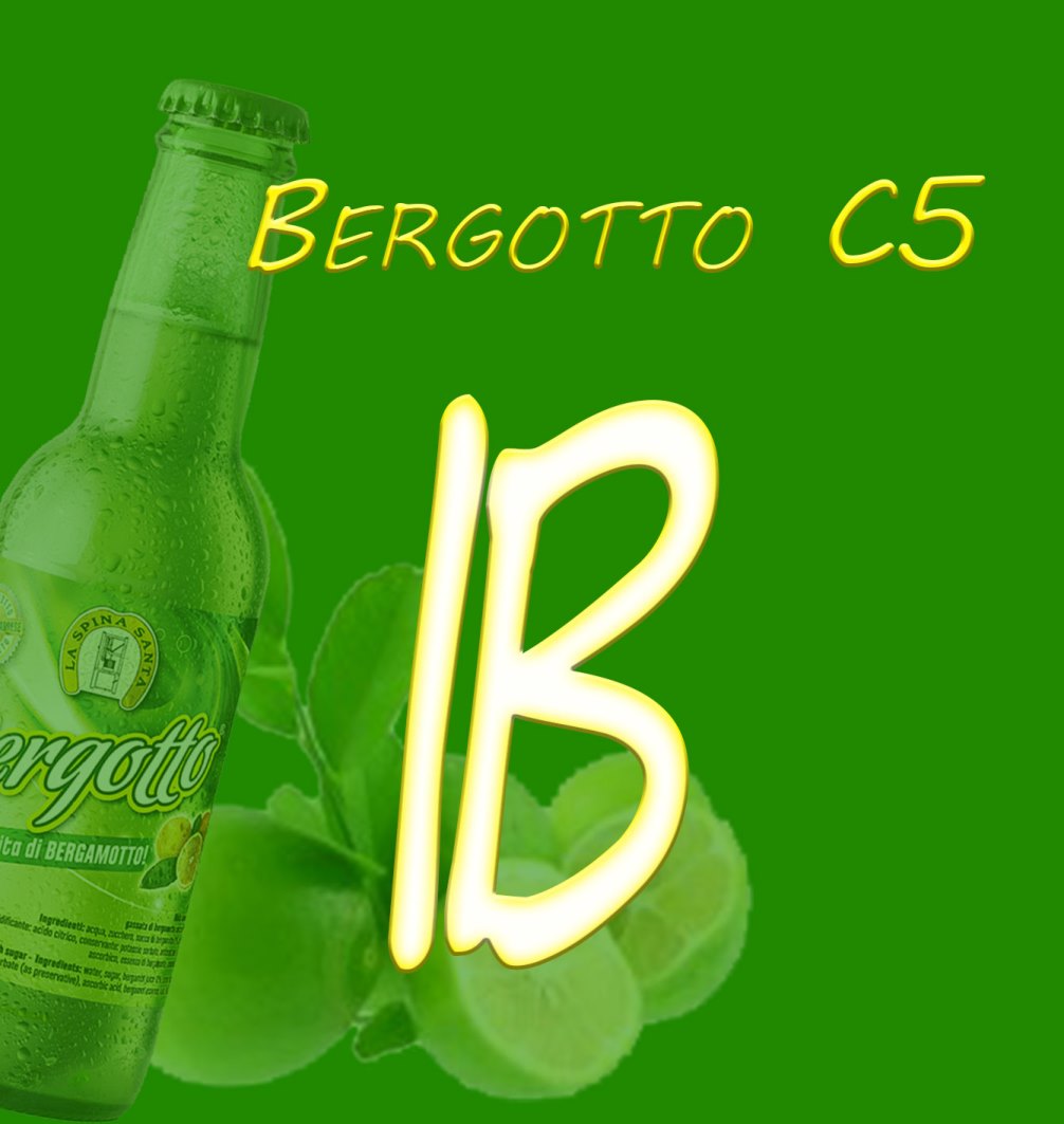 logo Bergotto